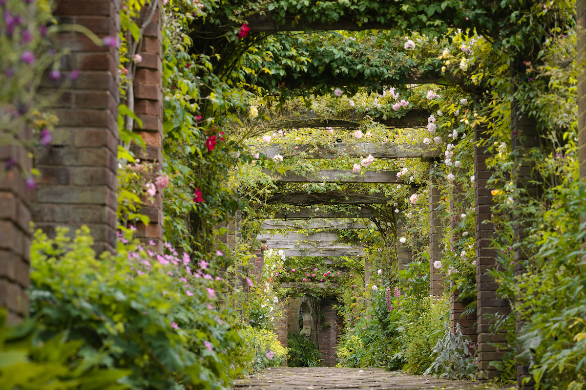 Tudor Croft Open Gardens Chance to visit a summer paradise